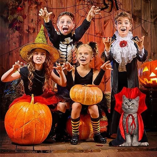 Small Halloween Pet Cape Costume Cat Vampire Cloak Cat Wizard Outfit
