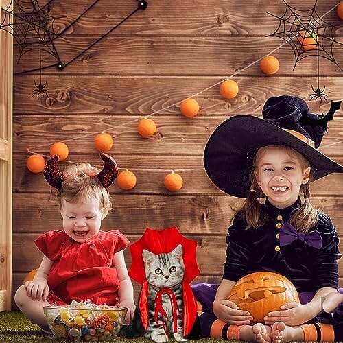 Small Halloween Pet Cape Costume Cat Vampire Cloak Cat Wizard Outfit