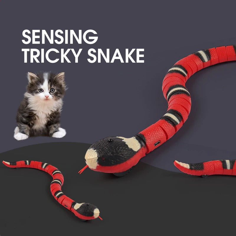 Snake Cat Toy - Interactive Rechargeable Snake Toy