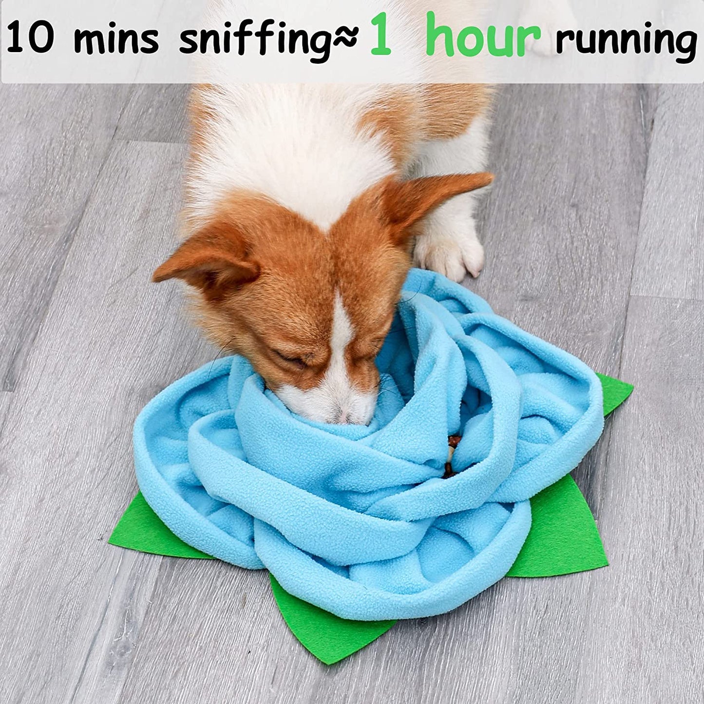 Snuffle Mat for Dogs