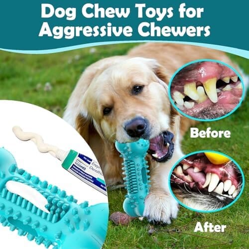 Stick Bone for Dog Teeth Cleaning