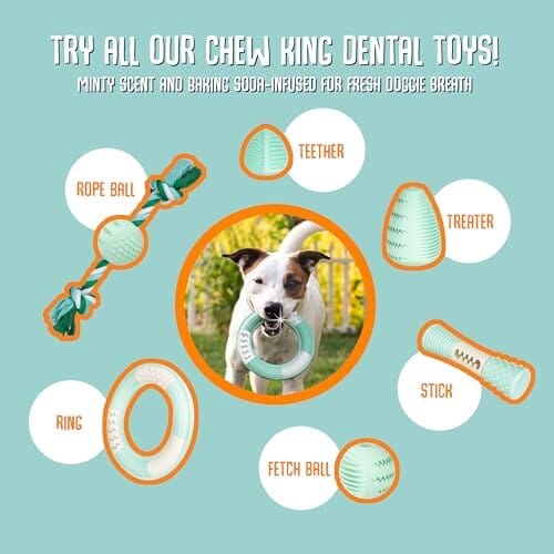 Stick Clinically Proven to Remove Plaque