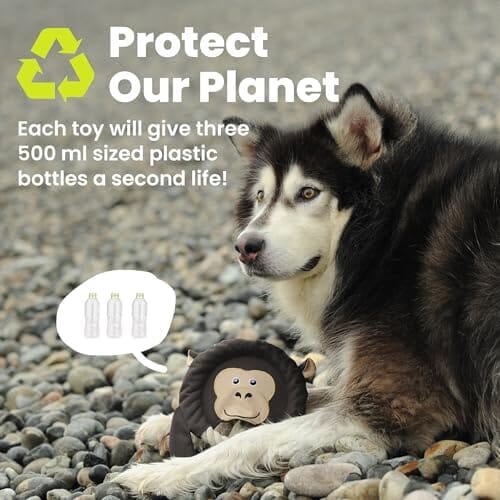 Toss and Throw Tug Toy, Eco-Friendly Indestructible Dog Toys