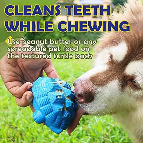 Turtle Indestructible & Tough for Aggressive Chewers
