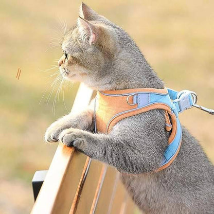 Cat Vest Harness and Leash Set - Escape Proof For Outdoor Walking