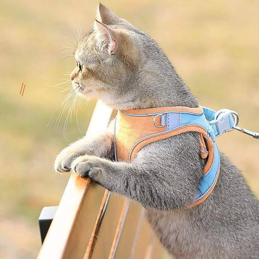 Cat Vest Harness and Leash Set - Escape Proof For Outdoor Walking