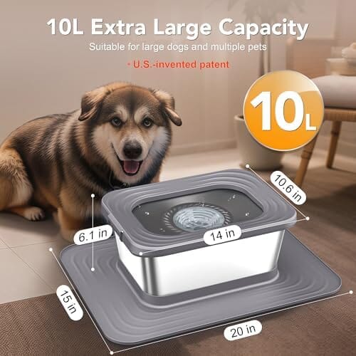 10L Stainless Steel Dog Water Bowl  Spill-Proof Slow Feeder for Messy Drinkers