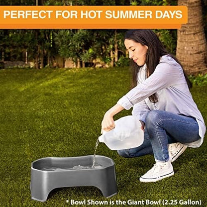 1.25 Gallon Capacity, 160 oz Extra Large Water Bowl for Dogs