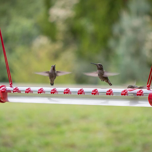 Hummingbird Feeder 20'' Bird Garden Feeder