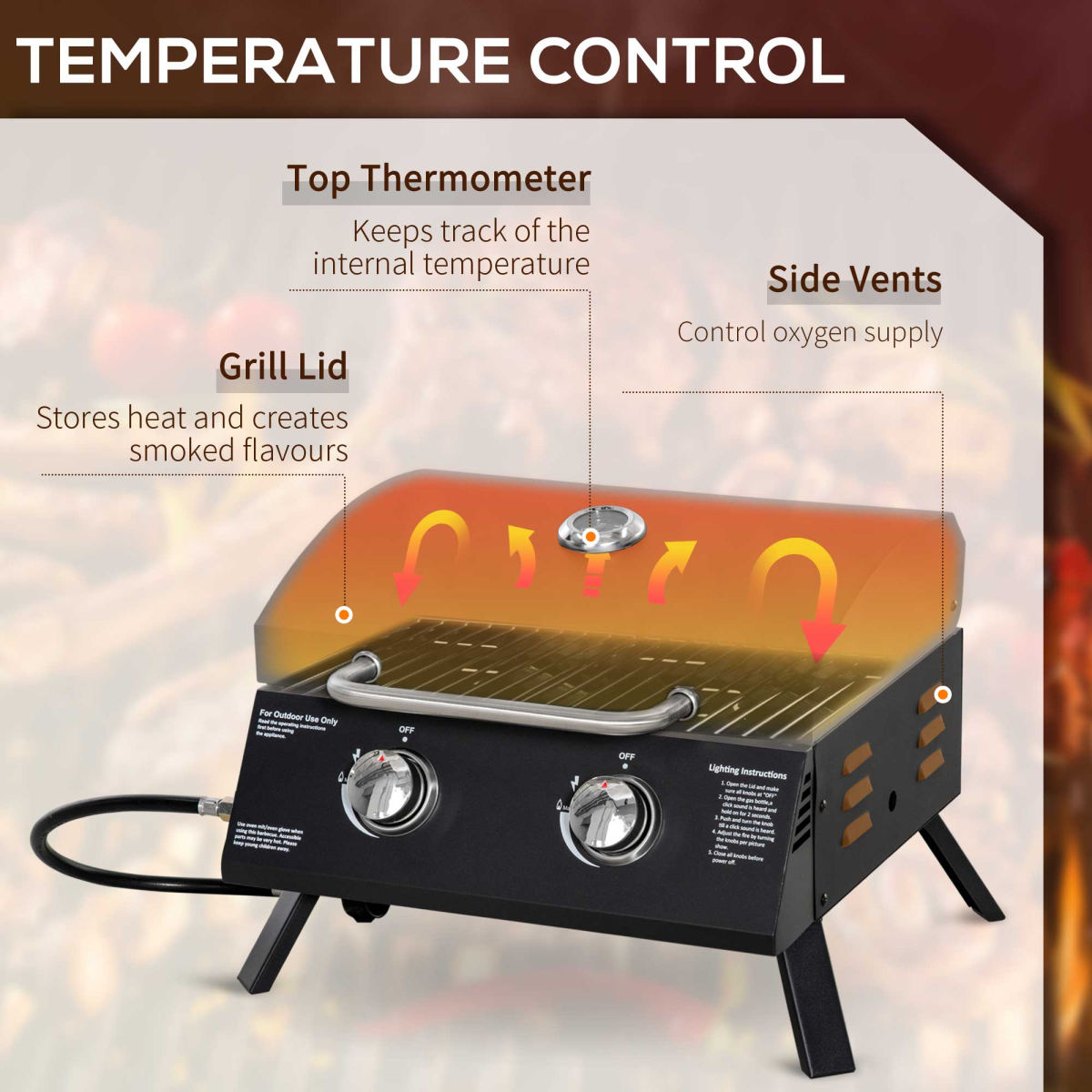 Portable 2-Burner Gas BBQ Grill with Lid & Thermometer