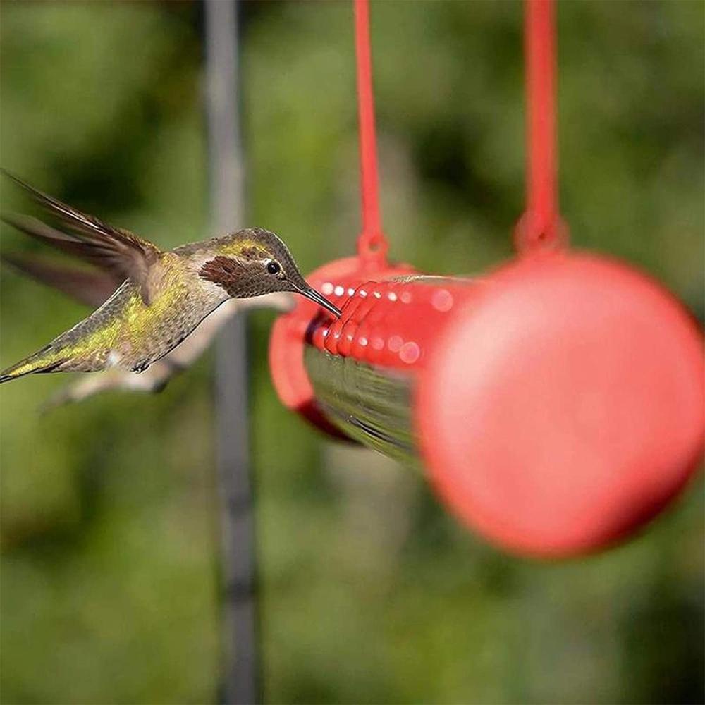 Hummingbird Feeder 20'' Bird Garden Feeder