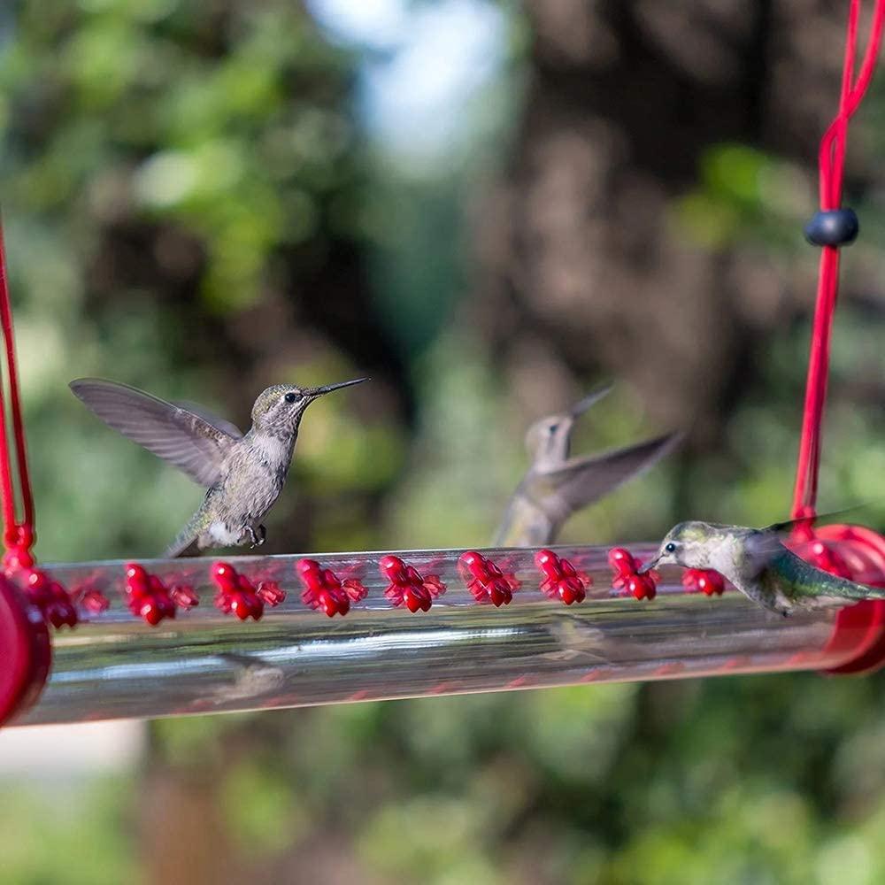 Hummingbird Feeder 20'' Bird Garden Feeder