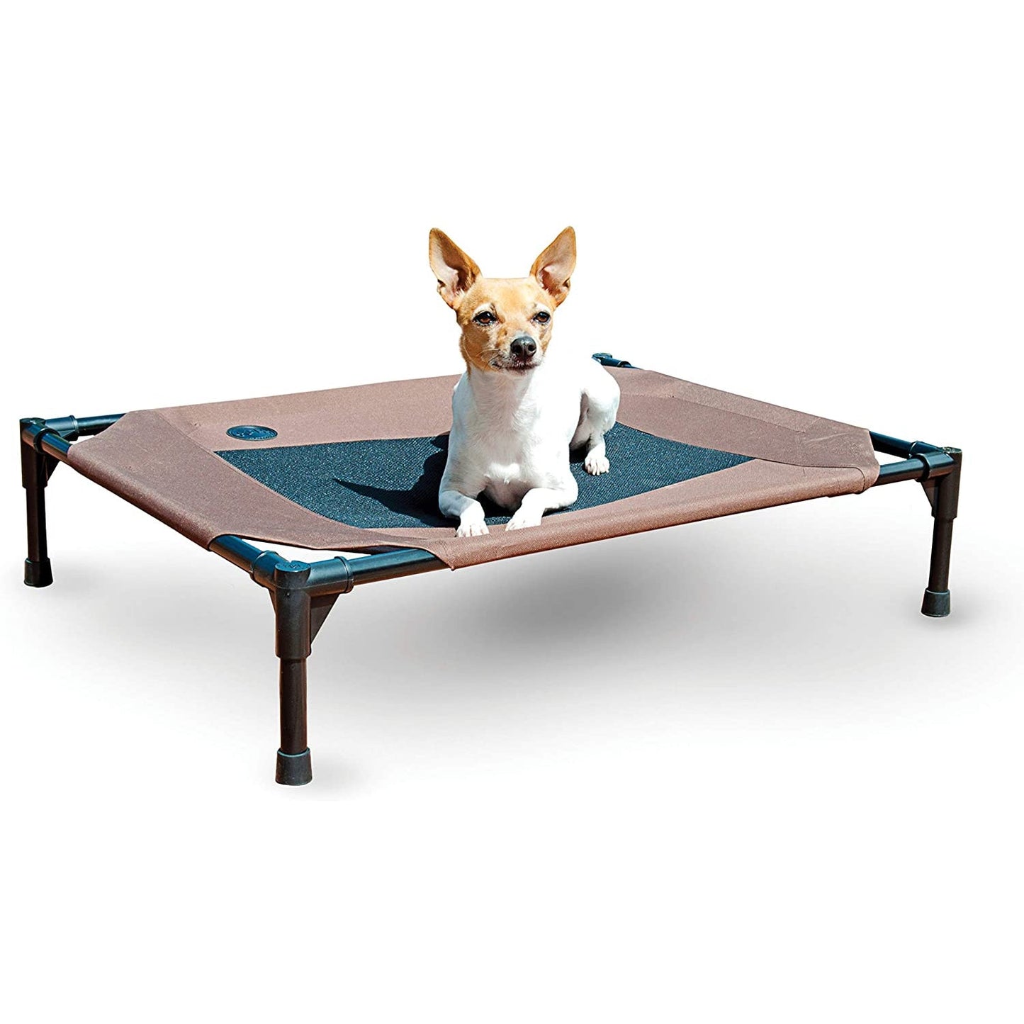 Dog Cot Bed: Elevated Dog Bed Cot Large And Extra Large