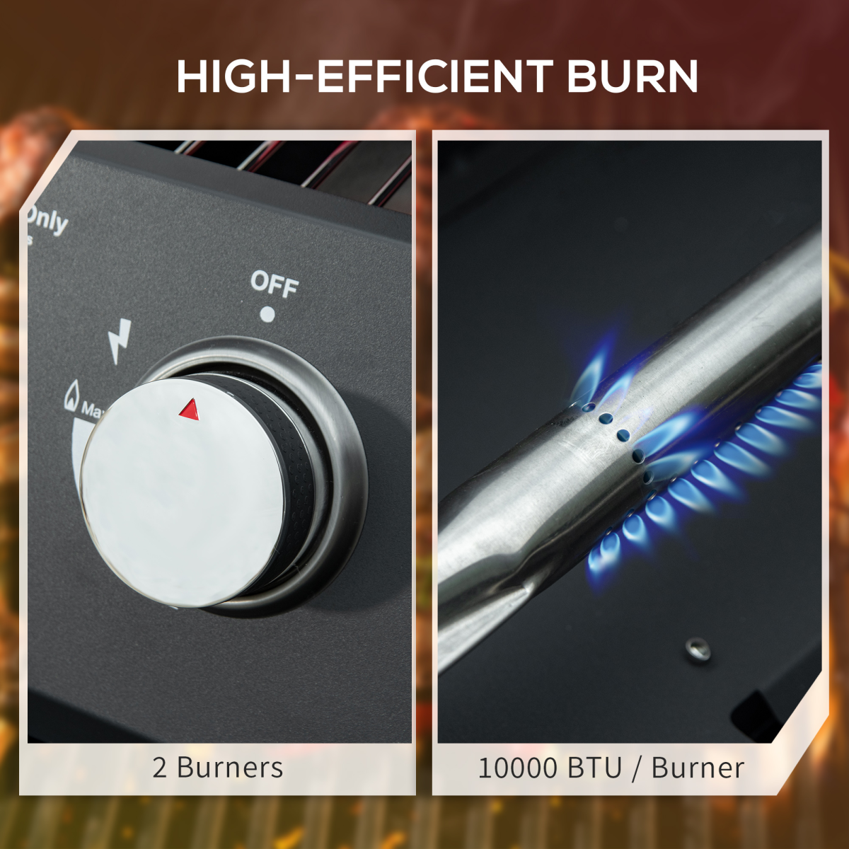 Portable 2-Burner Gas BBQ Grill with Lid & Thermometer