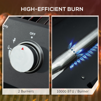 Portable 2-Burner Gas BBQ Grill with Lid & Thermometer