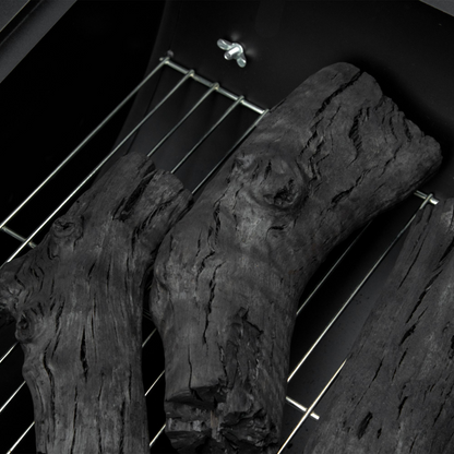 Portable 2-Grill Charcoal BBQ with Wheels