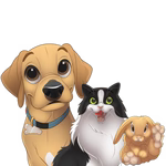 Custom Pet Light Box Art