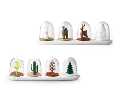 Cute Kitchen Seasoning Jar with Tray