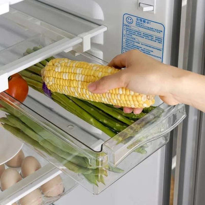 Refrigerator Food Storage Organiser Drawer for Vegetables, Egg, Fruit & Snacks - 2 Styles