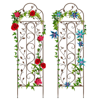 Set of 2 Iron Arched Garden Trellis