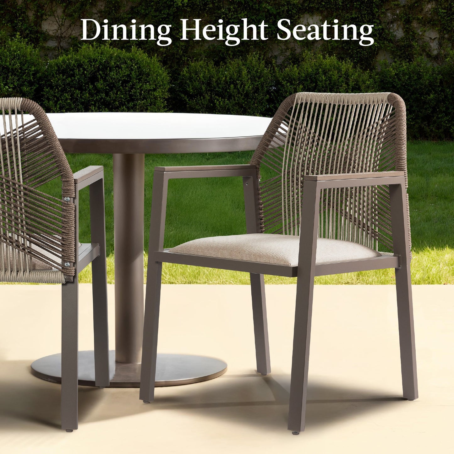 Set of 2 Indoor/Outdoor Aluminum Dining Chairs with Arms All-Weather Rope