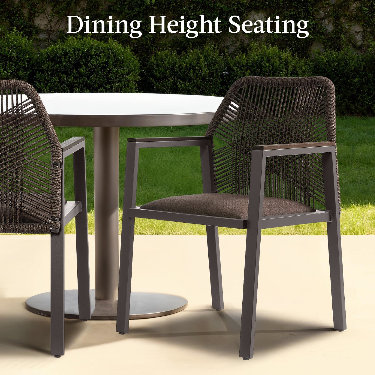 Set of 2 Indoor/Outdoor Aluminum Dining Chairs with Arms All-Weather Rope