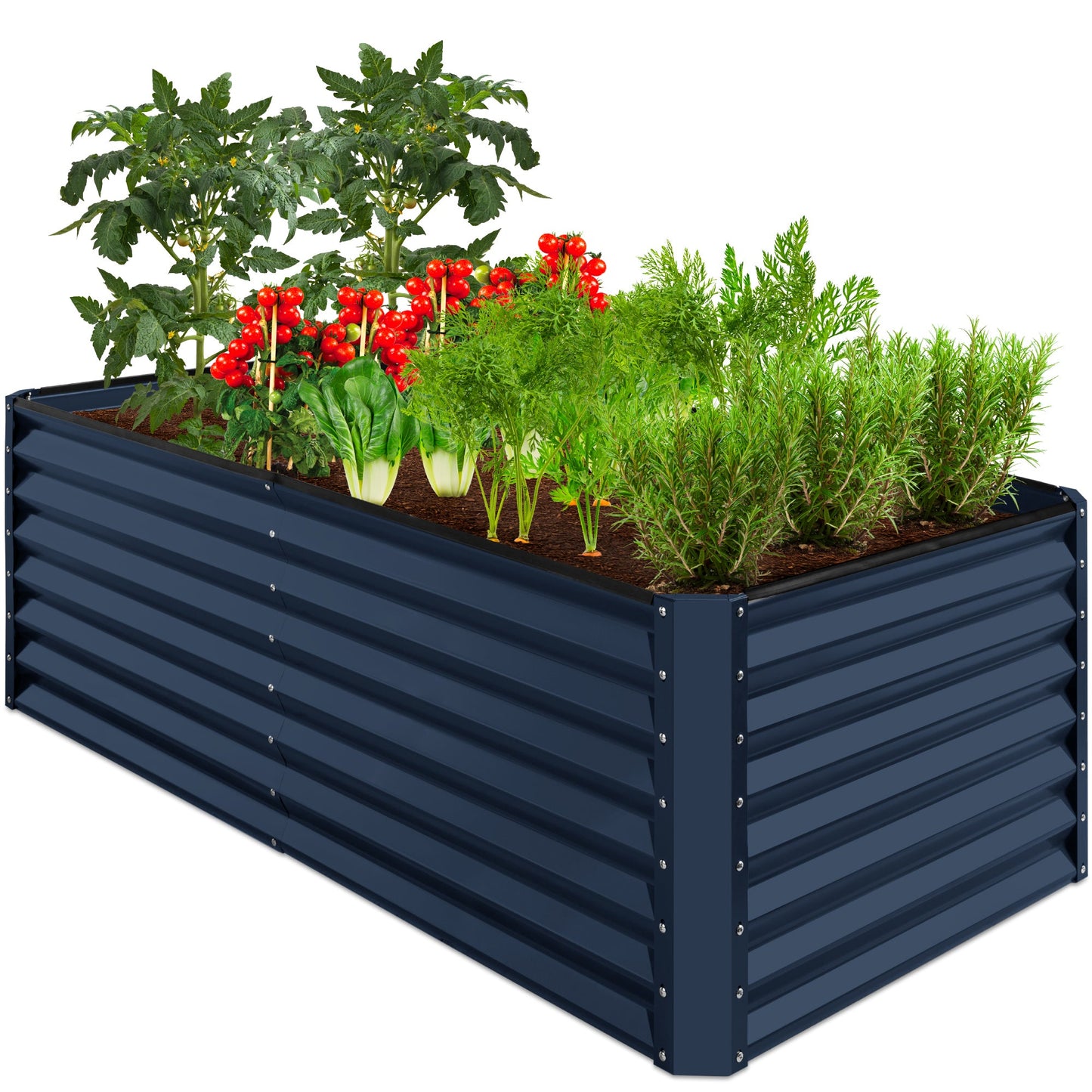 Outdoor Metal Raised Garden Bed for Vegetables, Flowers, Herbs - 6x3x2ft