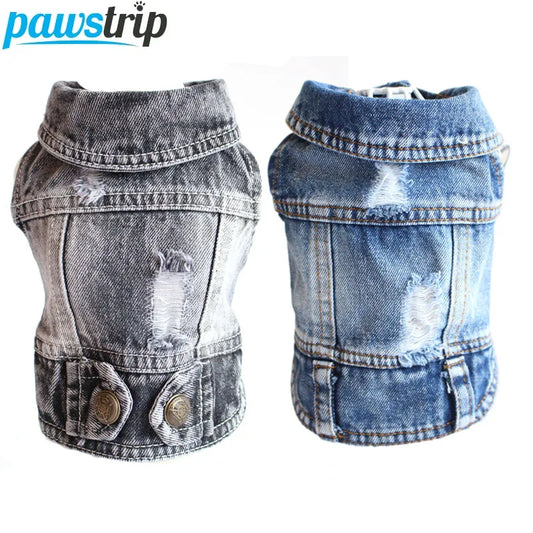 Cool Dog Denim Jacket – Fashion Pet Coat for Small & Medium Dogs