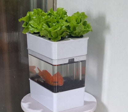 AquaGrow Mini: Hydroponic & Aquaponic Plant Growing System