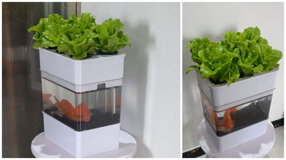AquaGrow Mini: Hydroponic & Aquaponic Plant Growing System