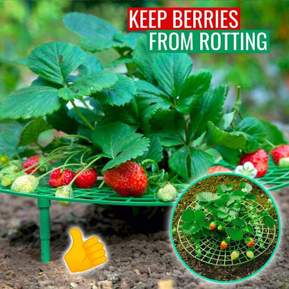 Berrylife - Strawberry Planting Frame