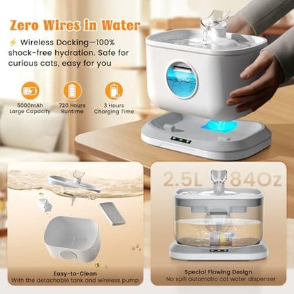 Cat Water Fountain & 4 Packs Replacement Filters