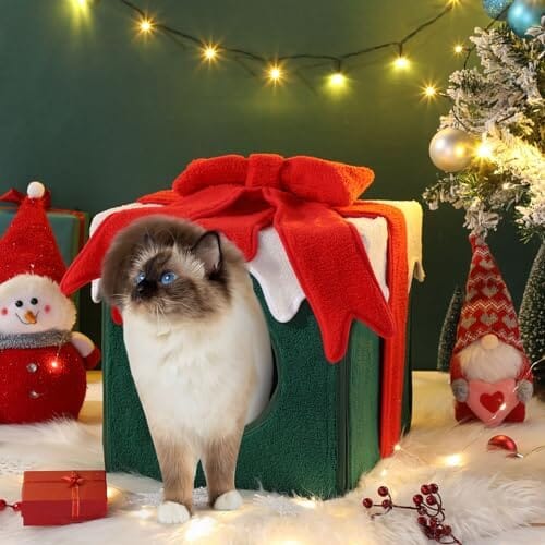 Comfortable Warm Cat Condo Tents in Winter