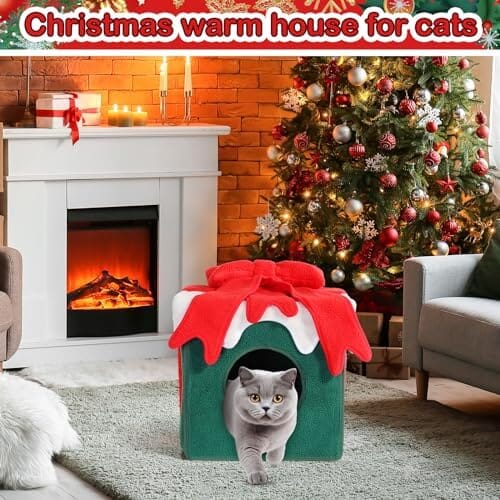 Comfortable Warm Cat Condo Tents in Winter