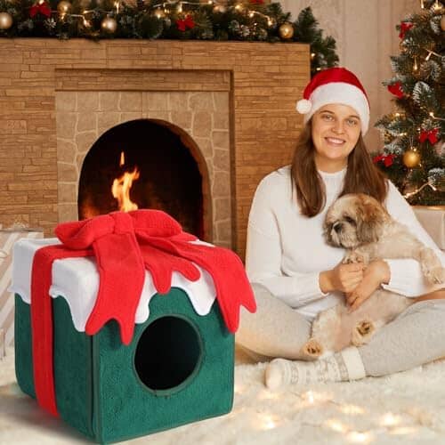 Comfortable Warm Cat Condo Tents in Winter