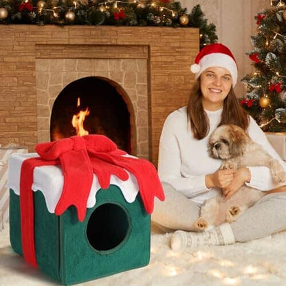 Comfortable Warm Cat Condo Tents in Winter