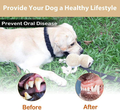 Cotton Plush Squeaky Dog Toys