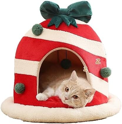 Cute Christmas Cat House