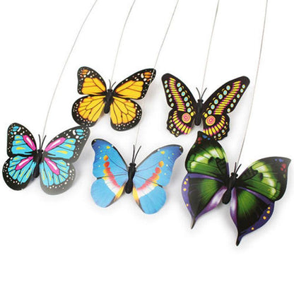Cute Electric Butterfly/HummingBird Cat Teaser Toy