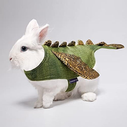 Dinosaur Cosplay Halloween Outfits for Small Pets