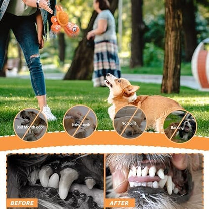 Dog Chew Toy for Teeth Cleaning