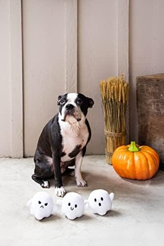 Dog Owner Must Have Accessories, Spooky Ghosts Fall Dog Toys, Set of 3