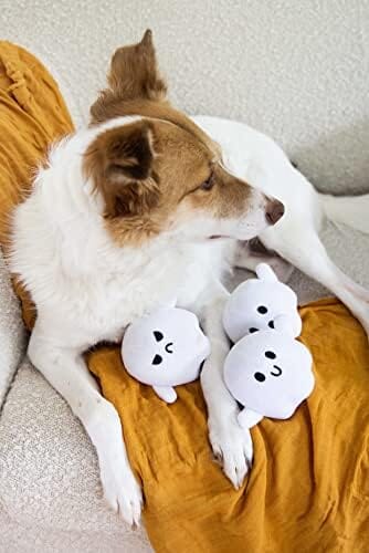 Dog Owner Must Have Accessories, Spooky Ghosts Fall Dog Toys, Set of 3