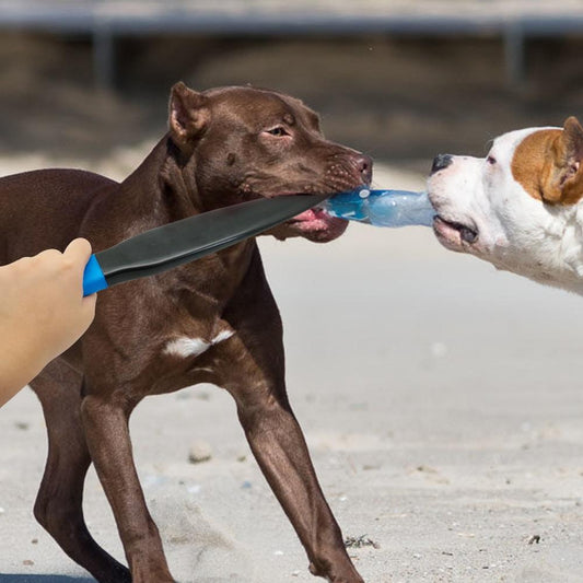 Dog Professional Break Stick