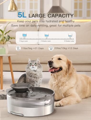 Dog Water Fountain Filters for Big Dog Water Bowl Dispenser