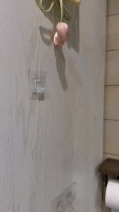 Smart Desktop Electric Fan