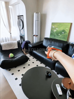 RC Gesture Control Flying Sword