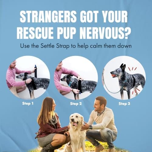 Fast, Safe & Effective Anxiety Relief for Dogs