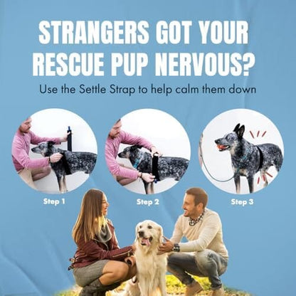 Fast, Safe & Effective Anxiety Relief for Dogs
