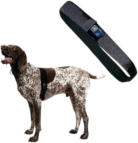 Fast, Safe & Effective Anxiety Relief for Dogs